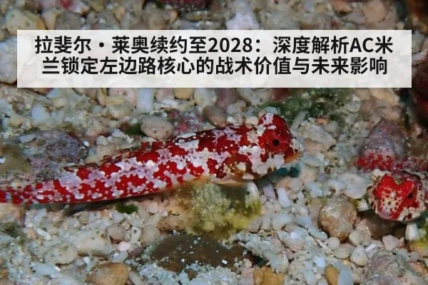 拉斐尔·莱奥续约至2028：深度解析AC米兰锁定左边路核心的战术价值与未来影响