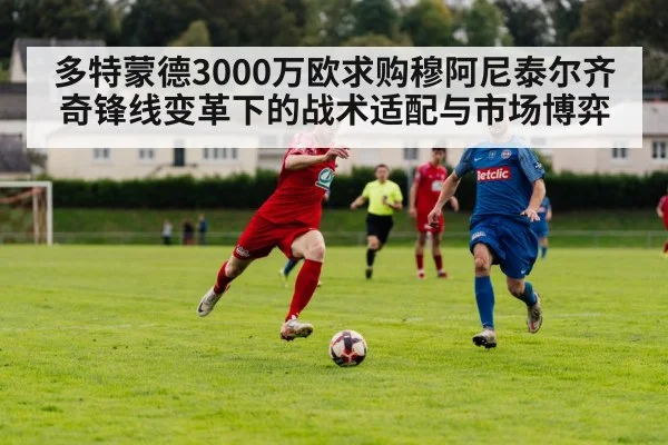 多特蒙德3000万欧求购穆阿尼泰尔齐奇锋线变革下的战术适配与市场博弈